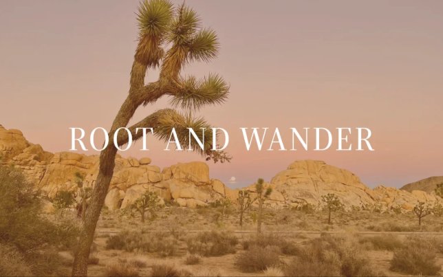 Root and Wander Living Wage Gap Assessment page